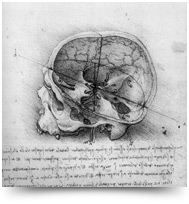 head
